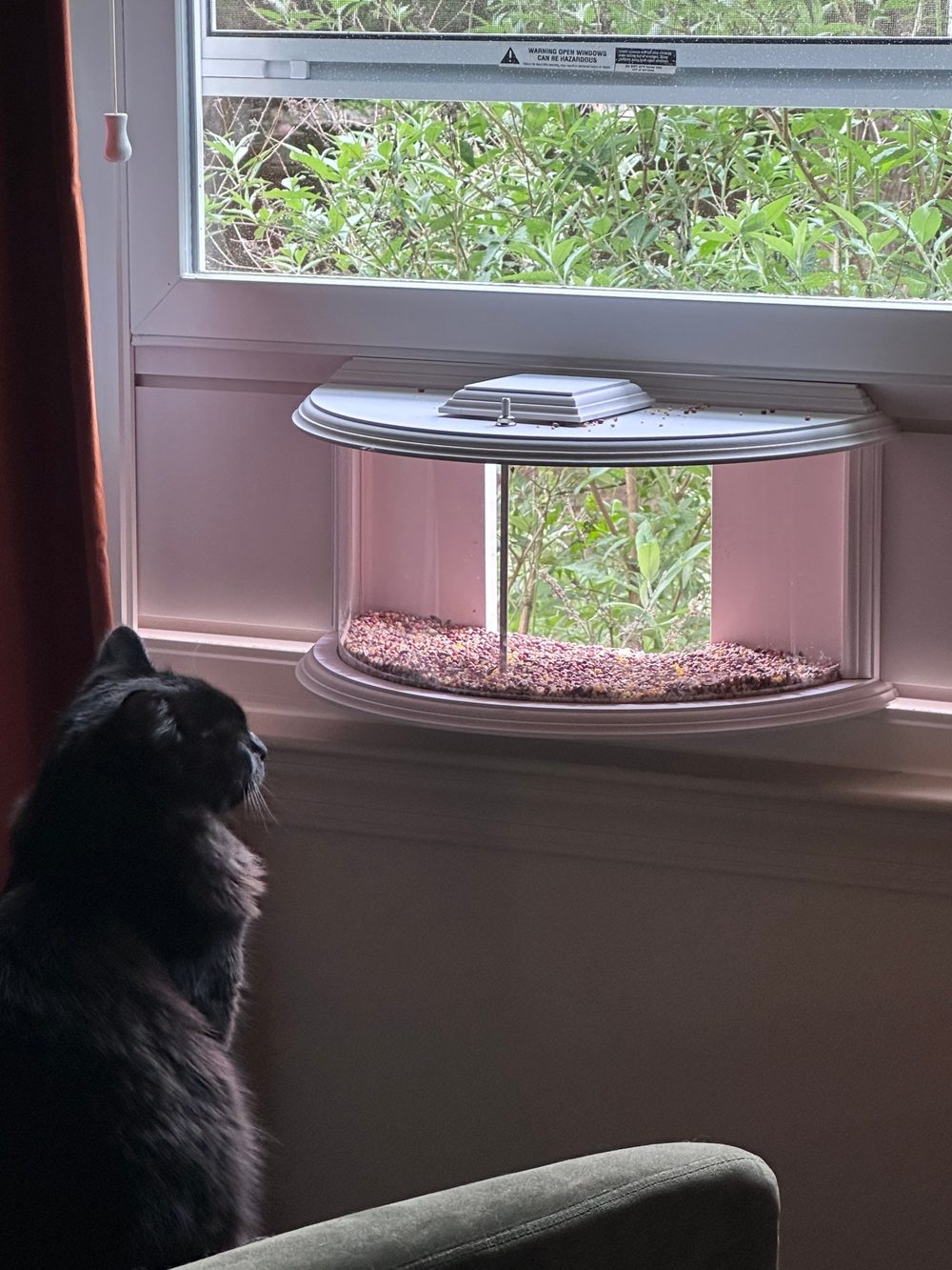 A black cat watching a bird feeder at the window, the garden behind it