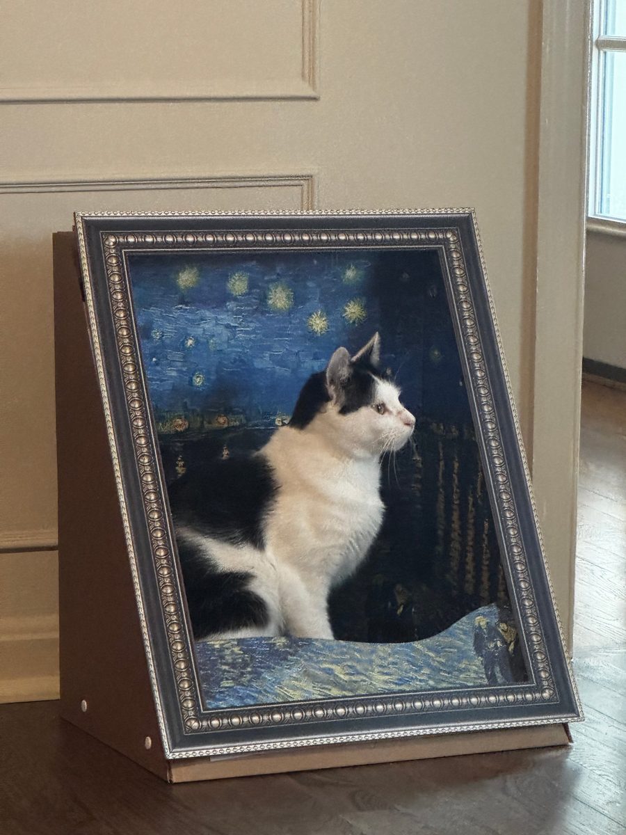 A black and white cat sitting in a framed Starry Night cat bed